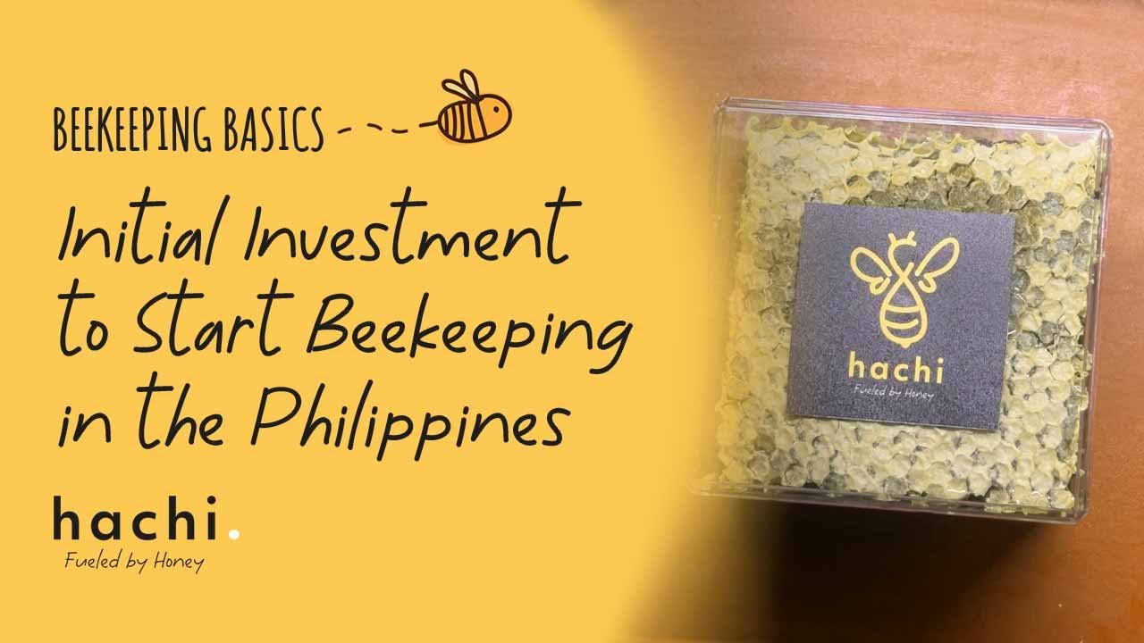 Beekeeping in the Philippines - Initial Investment and Expenses