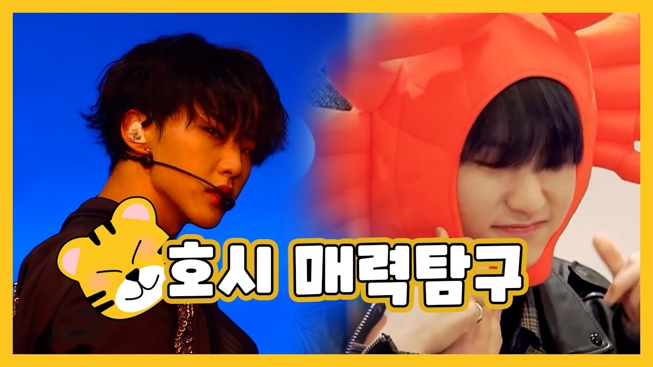 [세븐틴/호시] 세븐틴의 용맹한 호랑이 호시 매력탐구 | #산중호걸이라하는_호시의_날이되어 #OurTigerHOSHIDay