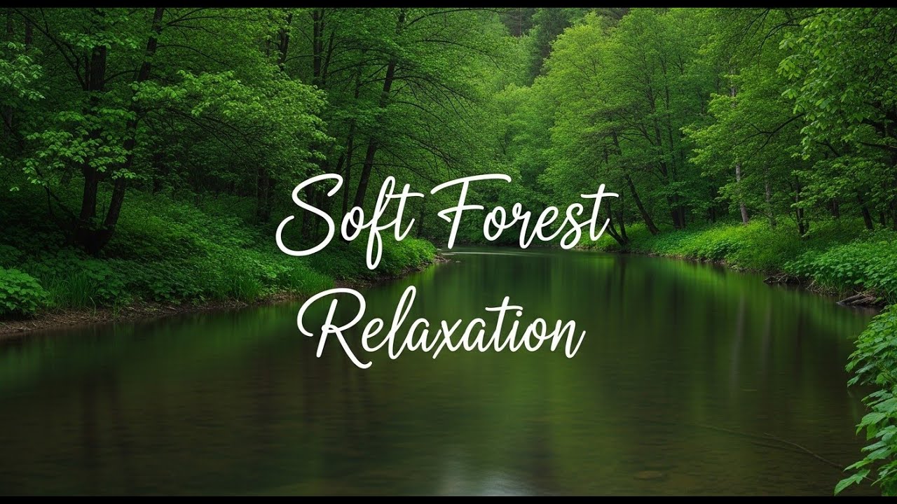 Nature River Sounds 12 Hours When Your Brain Won’t Turn Off