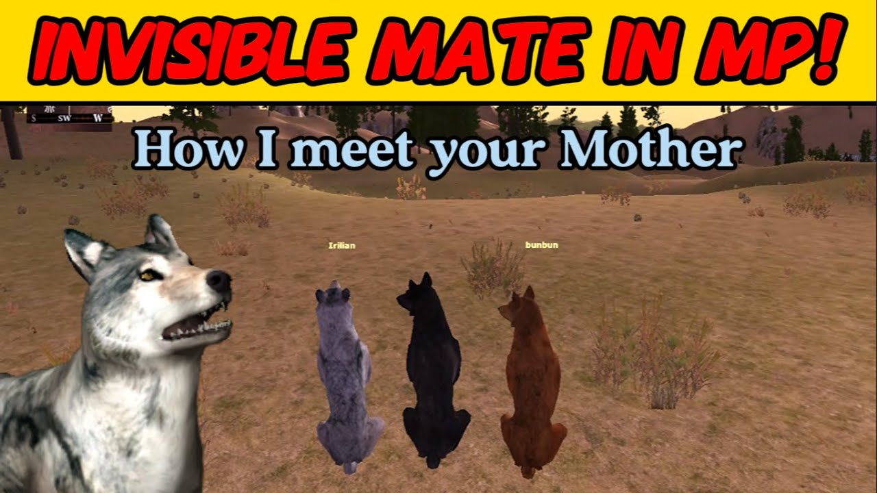 From Multiple Mate Glitch To INVISIBLE Mate Glitch!