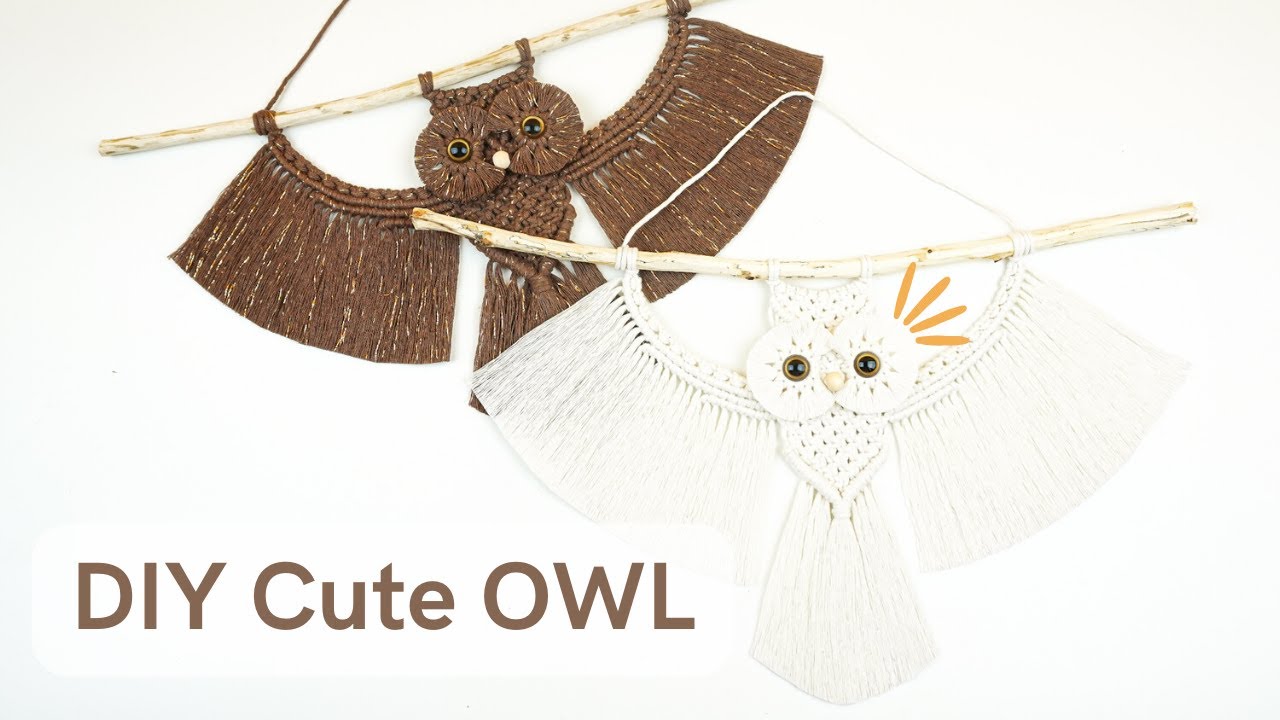 Unveiling the Whimsical DIY Owl: Discover its Hidden Secrets #macrameowl #hedwig