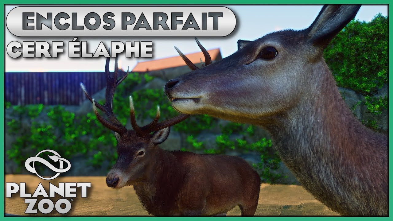 Enclos du cerf Élaphe (Europe) | LES ENCLOS PARFAITS : ÉPISODE 112 | PLANET ZOO