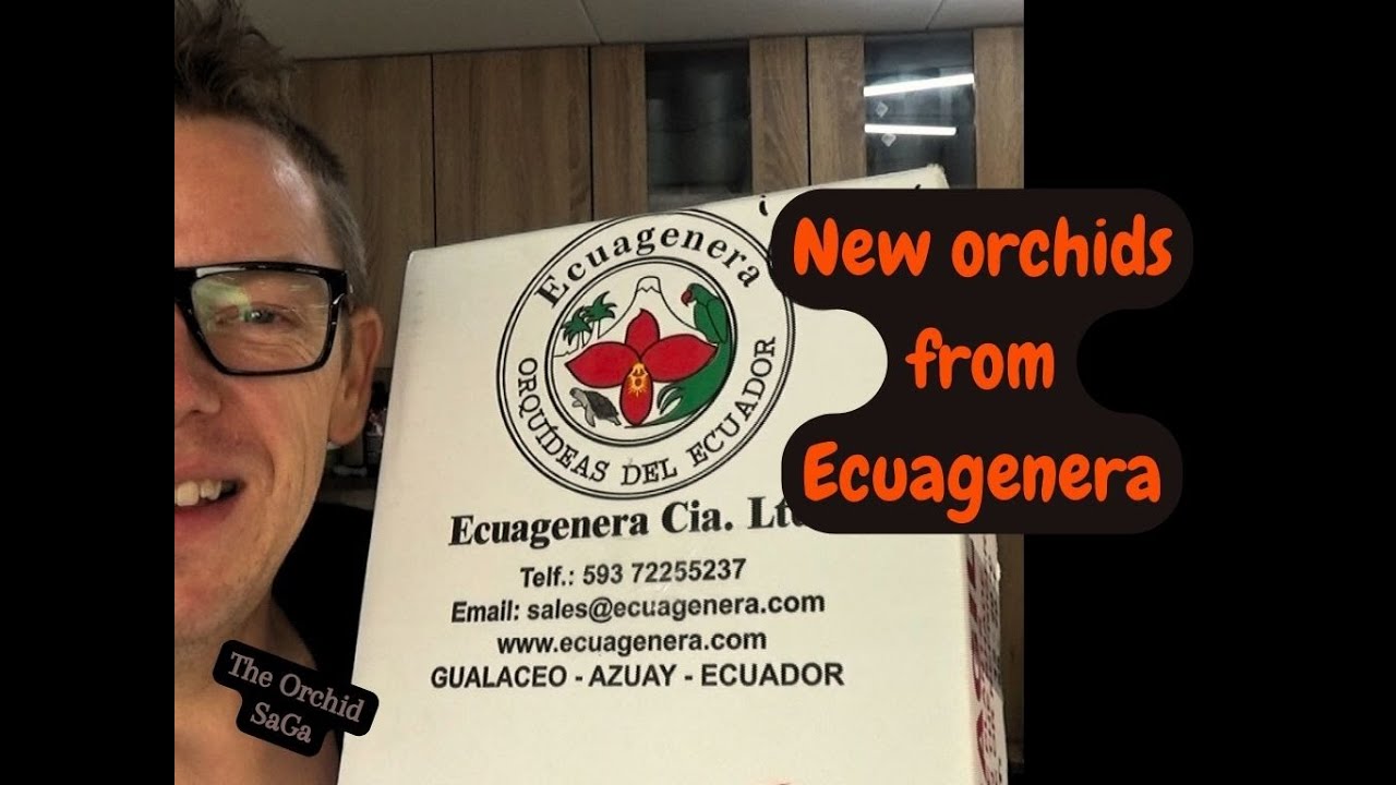 Unboxing new orchids from Ecuagenera (EU)! .... :D