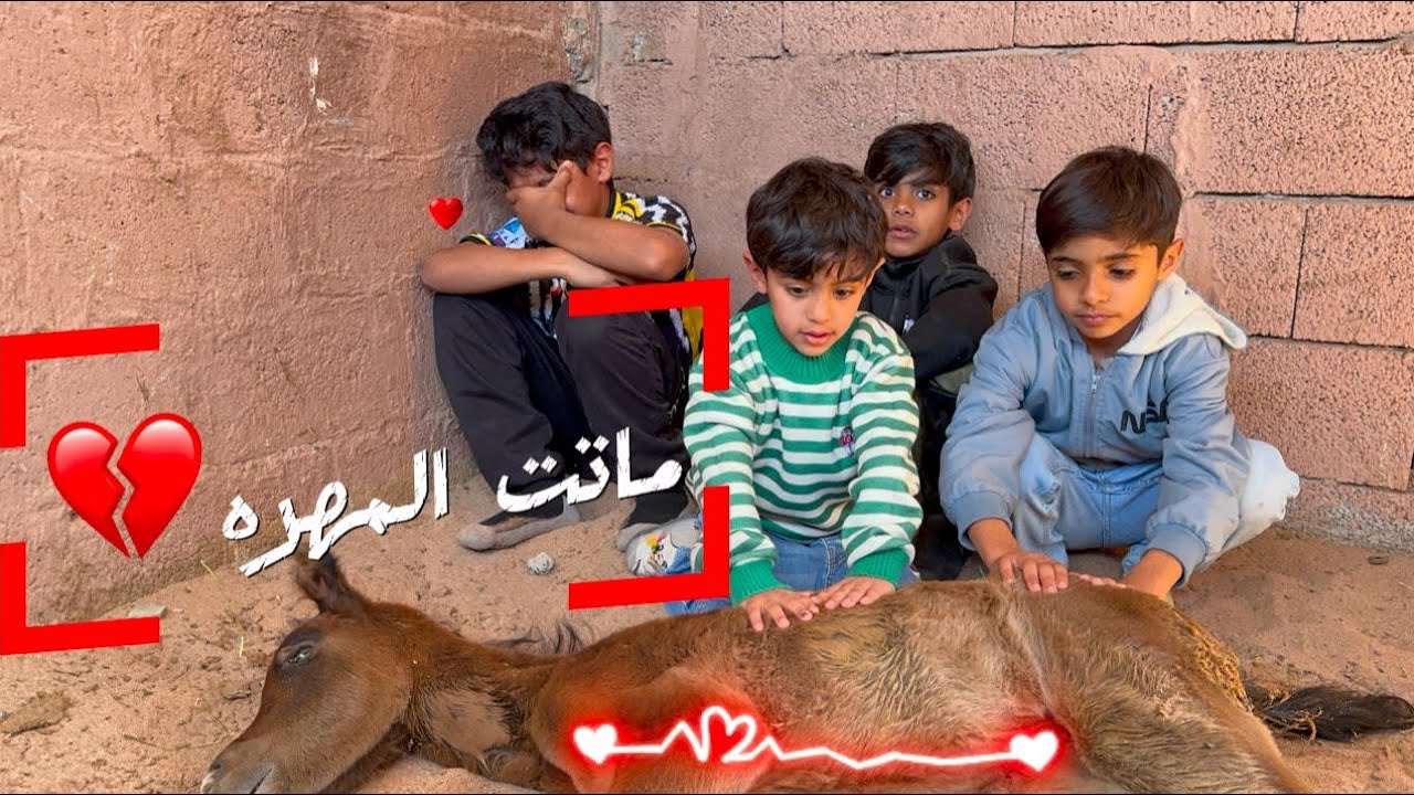 ماتت المهره😢💔🐎