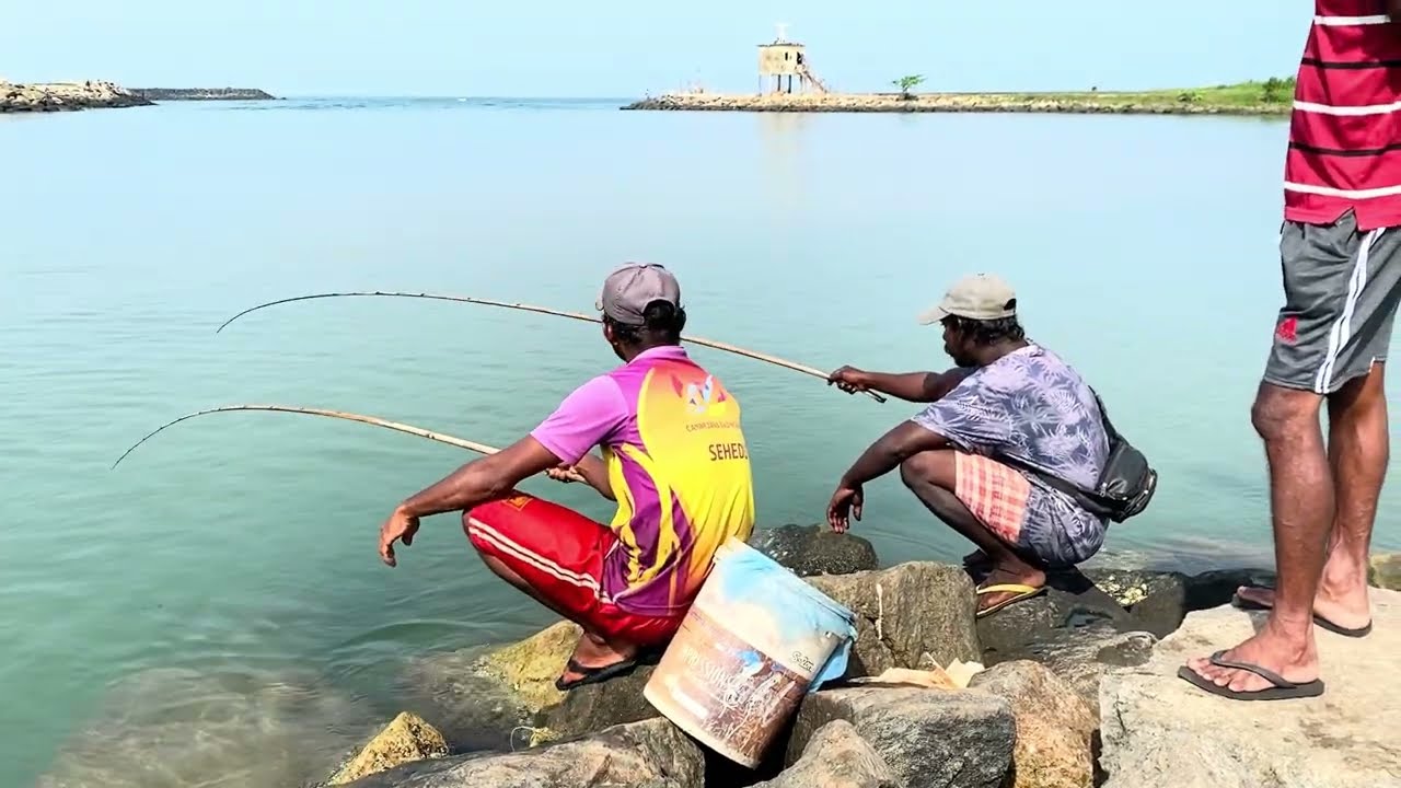 මොද්දු අල්ලන්න අපි දෙන්නා ඇමට අල්ලපු පරා පැටවු 🎣👌 #fishing #fishinglife #fishingvideo 