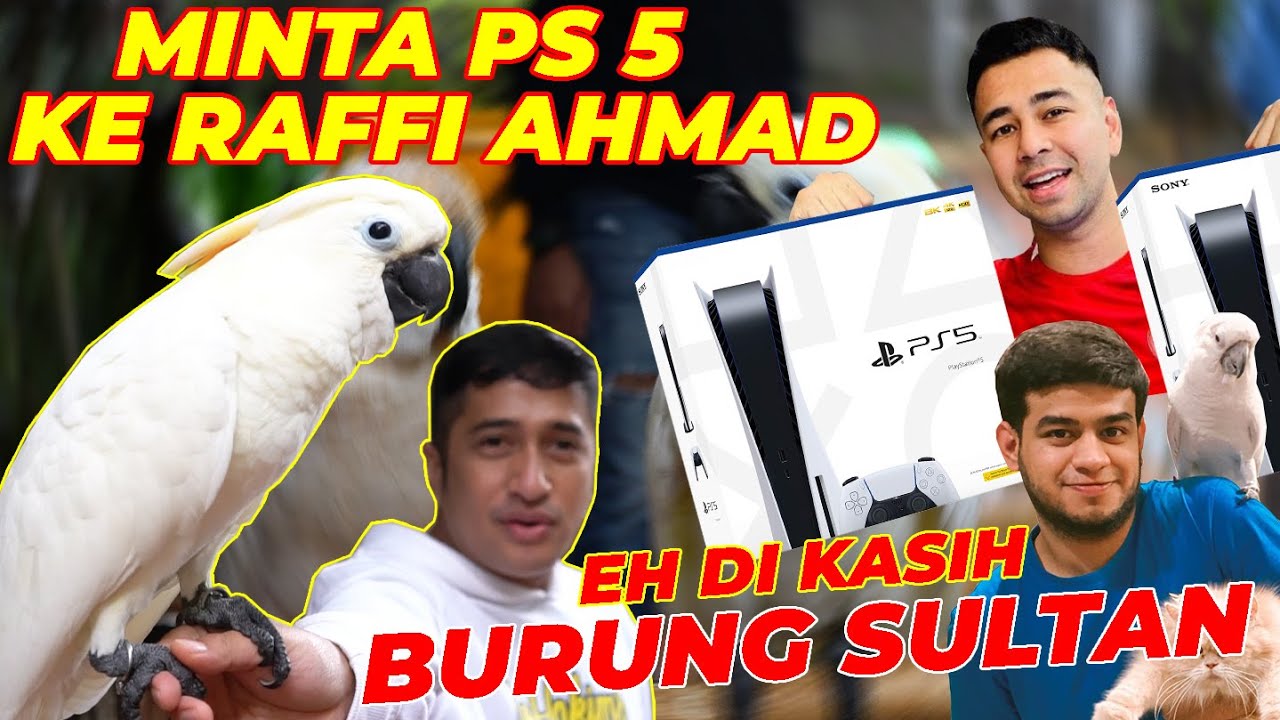 MINTA PS 5 MALAH DI KASIH BURUNG SAMA RAFFI AHMAD
