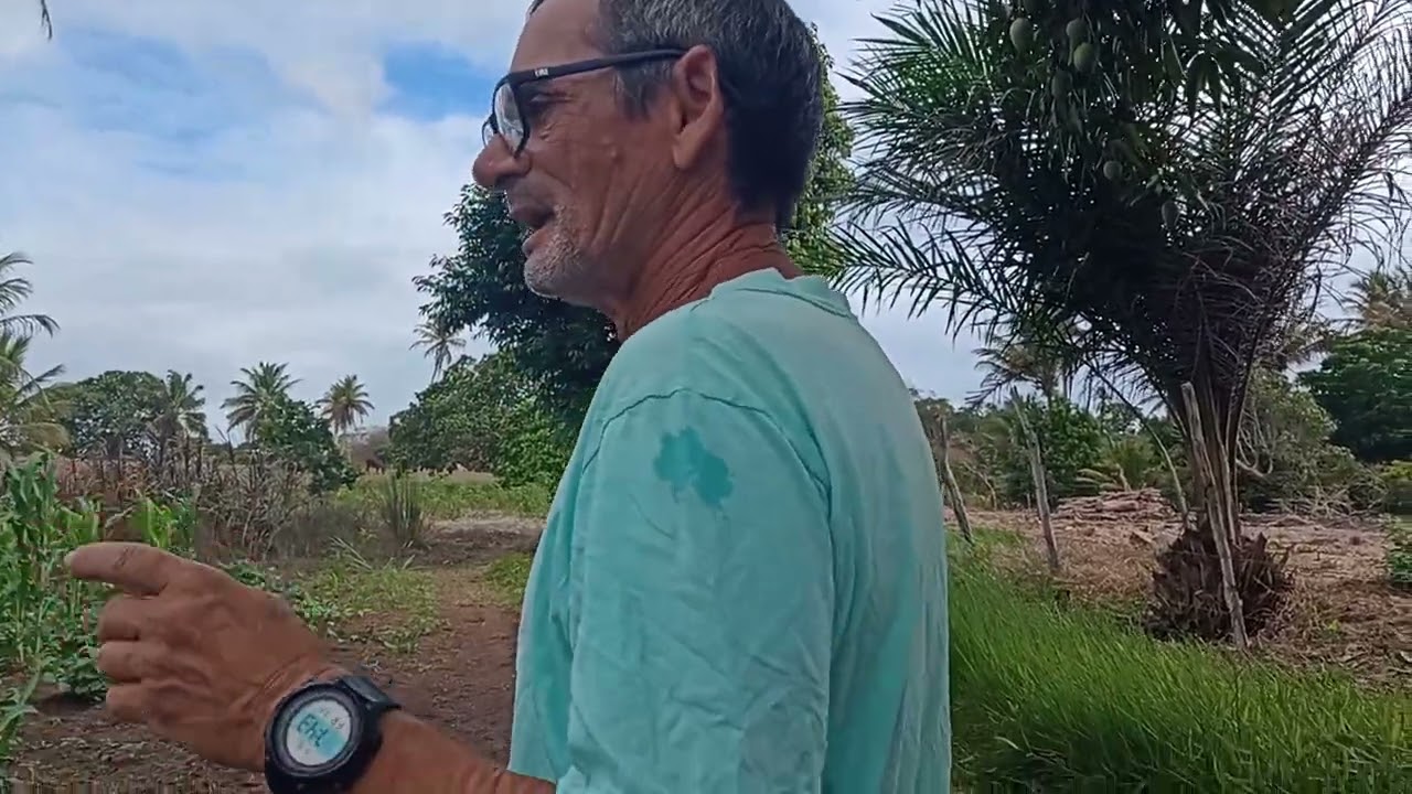 Luiz na plantação de milho e batata 