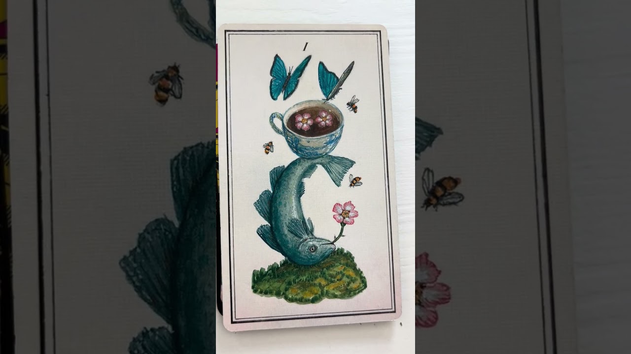 Лунное затмение 4/03/26