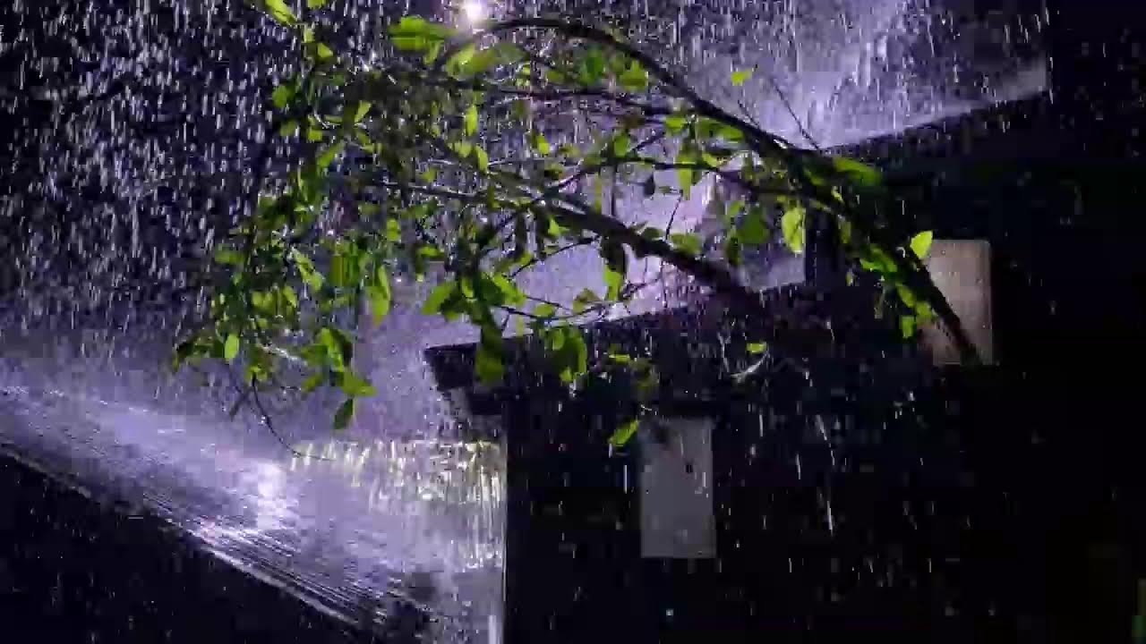 8 Hours Heavy Rain Sounds on Tin Roof for Sleeping