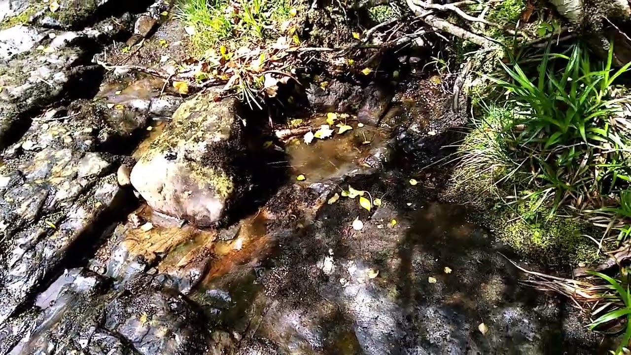 Gold prospecting Devon Day 3
