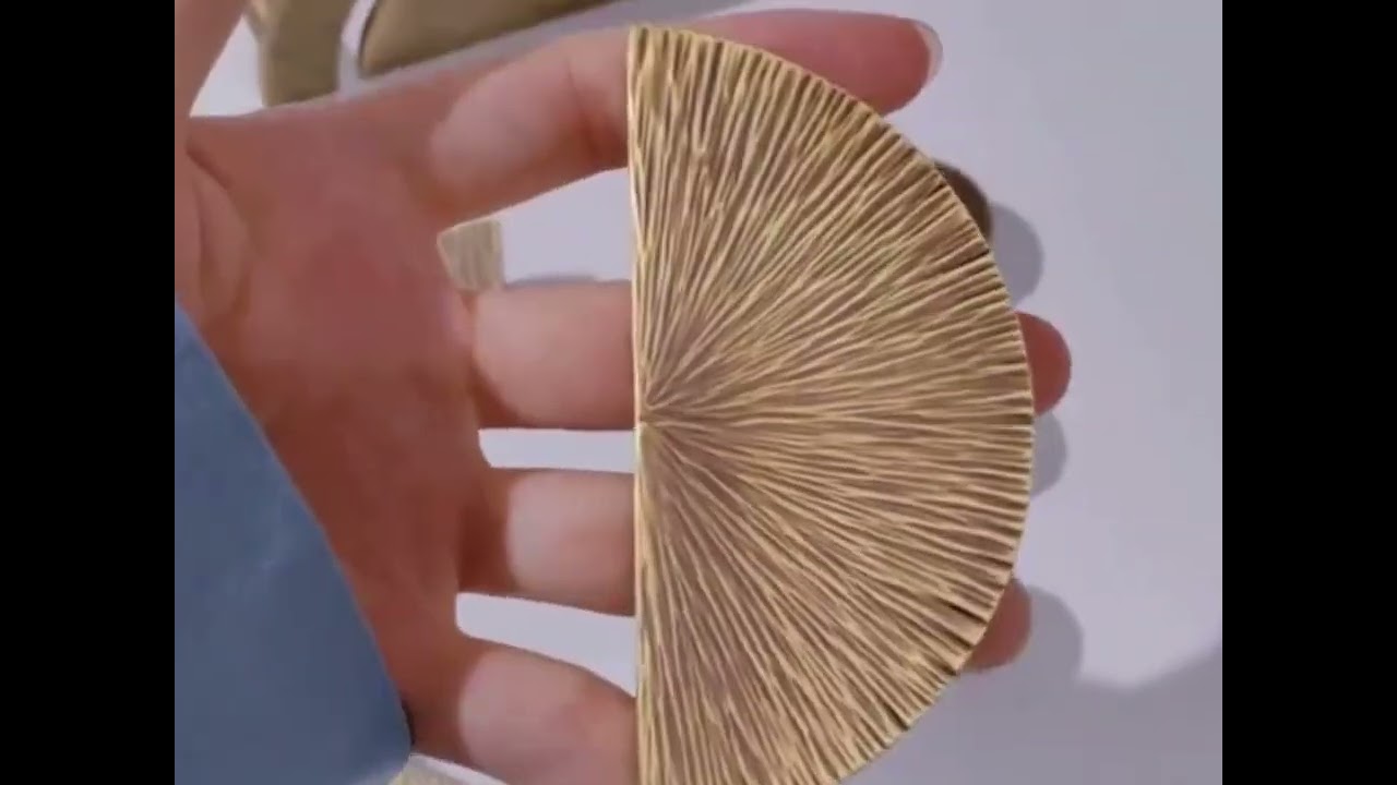 Maniglia Oro Forma Met&agrave; Circolare Decorazione Moderna Arredo Mobili Casa