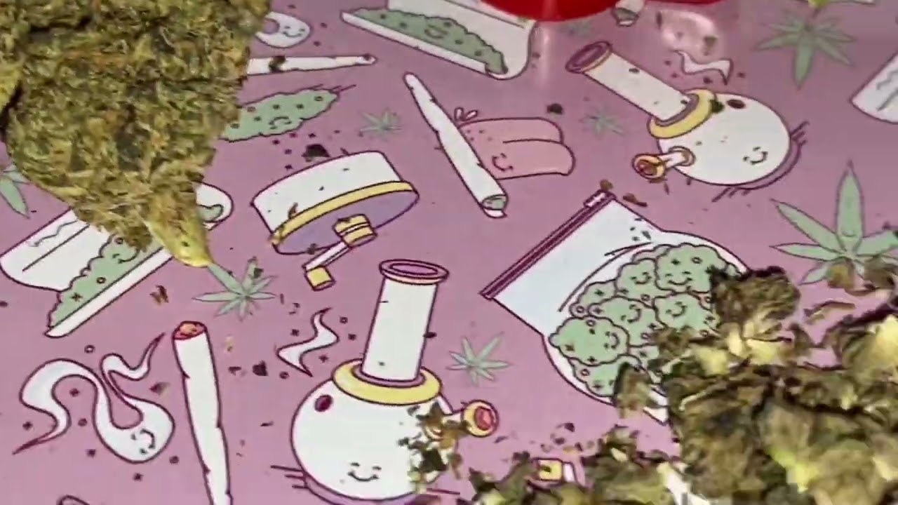 Black Runtz Terps n Burps Content