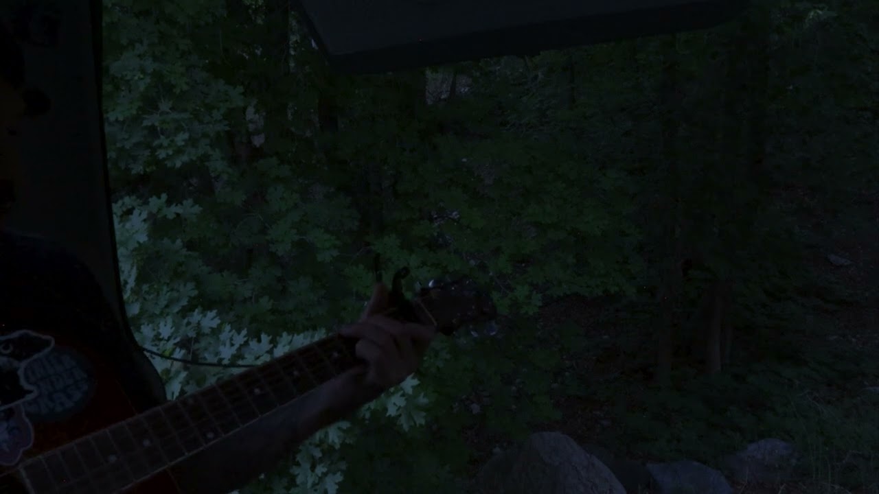 A Cover of The Scientist by Coldplay from the back of a car in a forest
