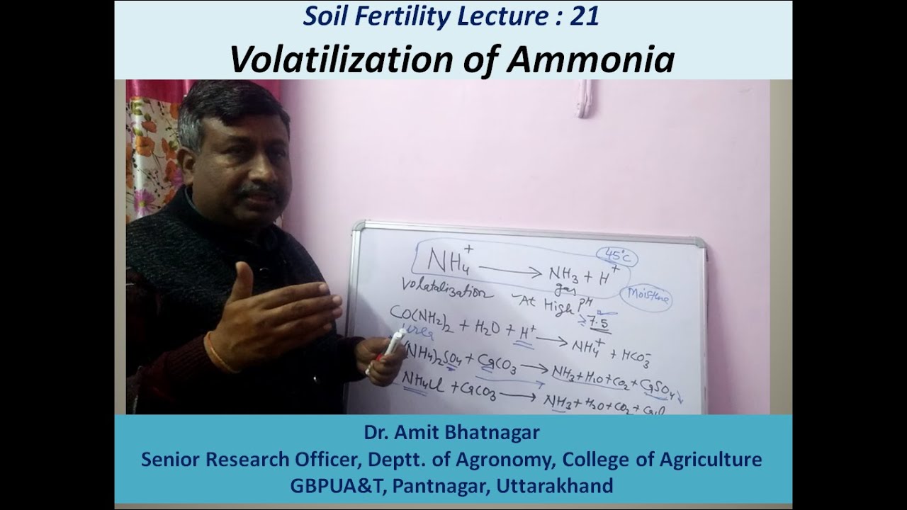 Volatilization of Ammonia