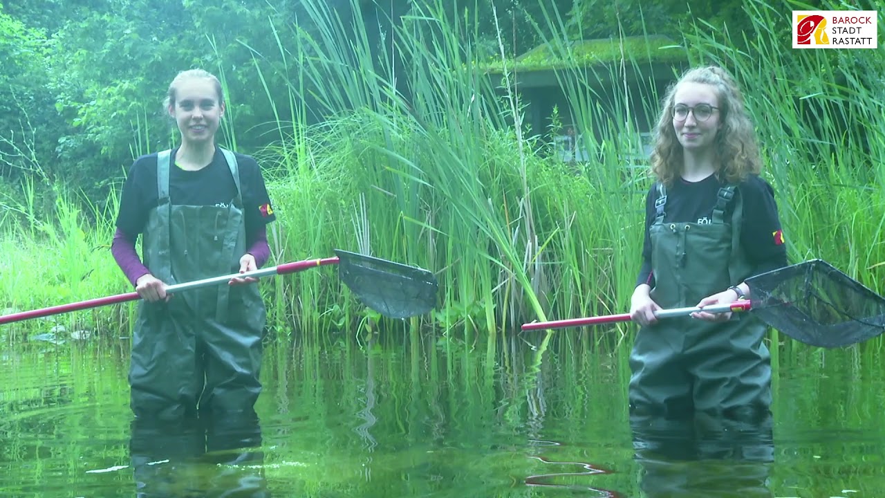 Die Ökostation der Stadt Rastatt: Der Teich -  Teil I
