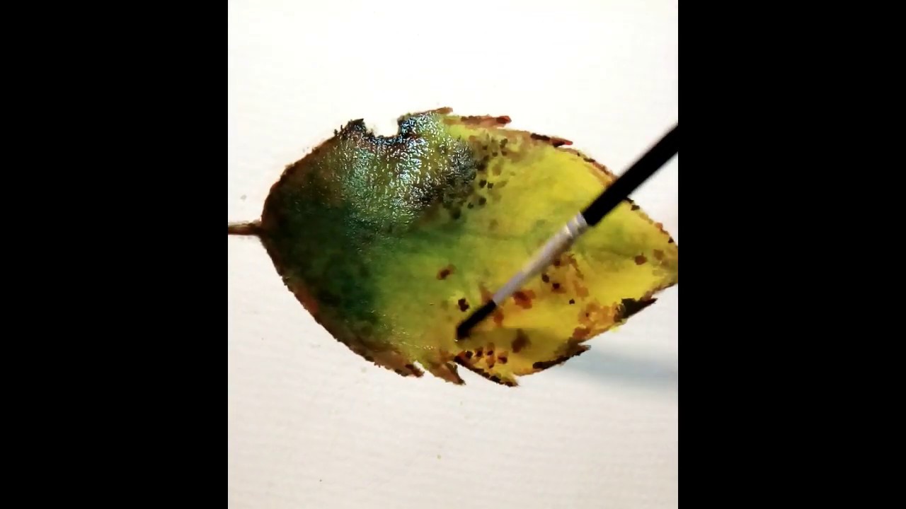 Painting an Autumn Leaf in Watercolours