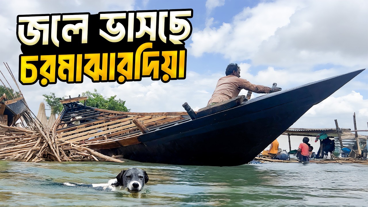 অথৈ জলে ভাসছে চরমাঝারদিয়া । Charmajhardia Of Rajshahi Island