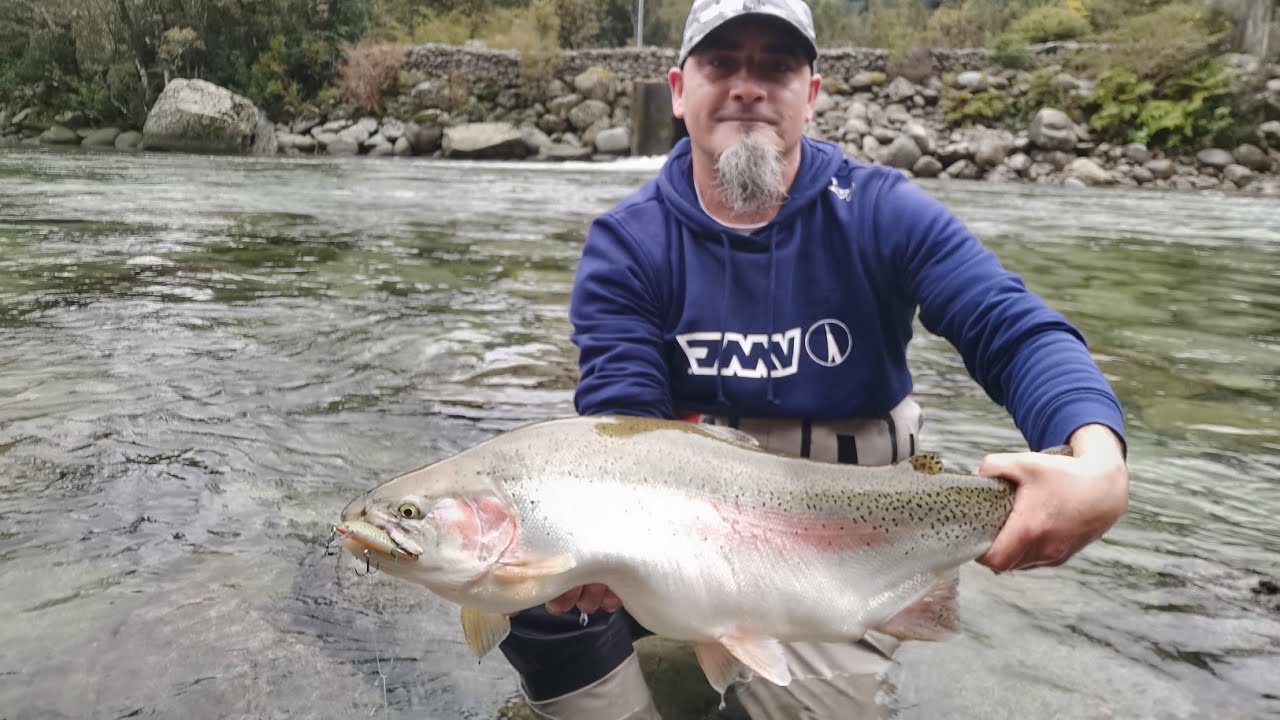 Tremenda jornada, día de champions y grandes arcoiris pesca de truchas,    carretera austral Chile
