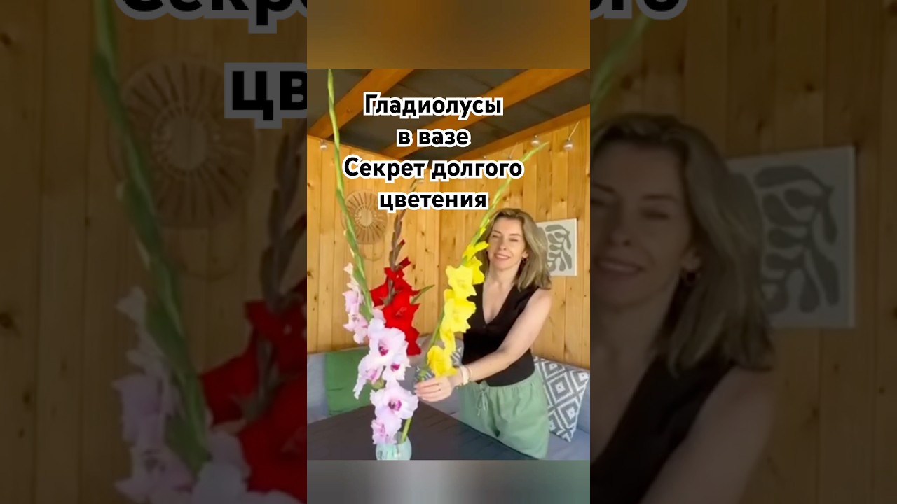 секрет долгого цветения гладиолусов в вазе #сад #дача #цветы #гладиолусы #gladiolus #garten