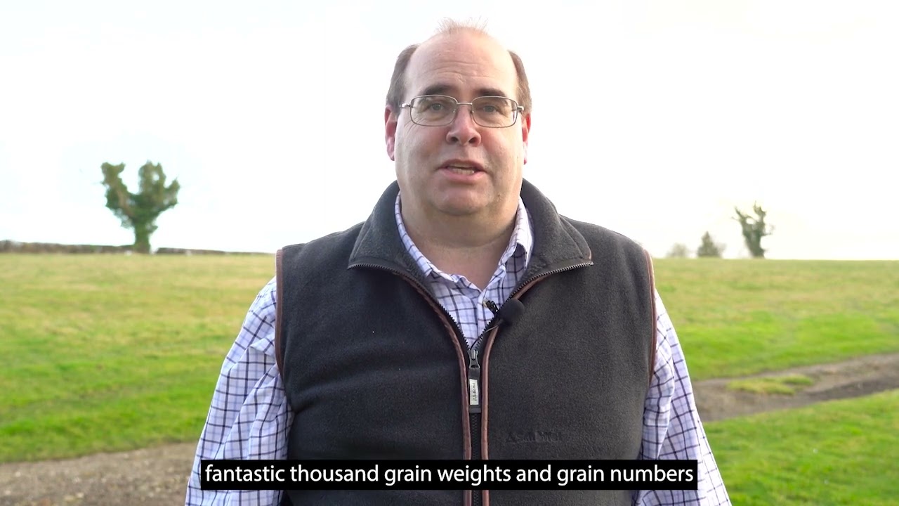 Growers on the Ground: Interview with Tim Lamyman