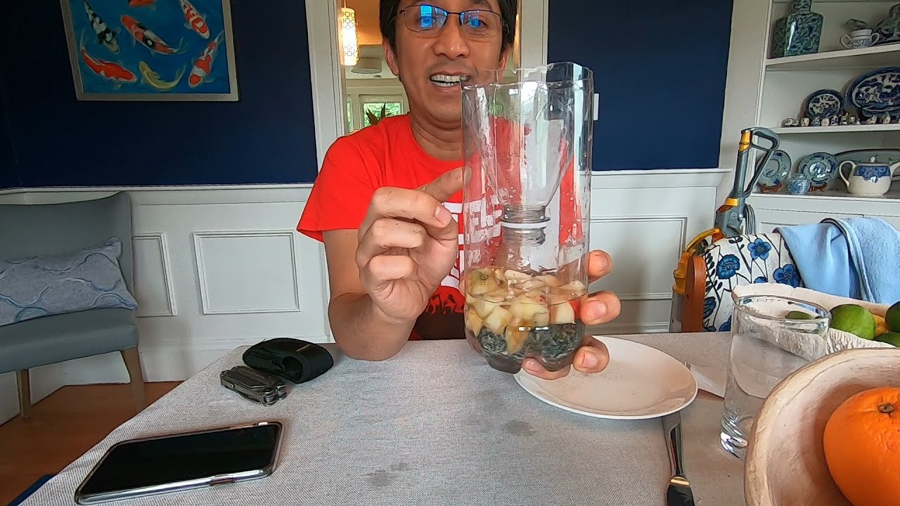 DIY Fly Trap with a Plastic Bottle and Bait, Catching Houseflies without Pesticide
