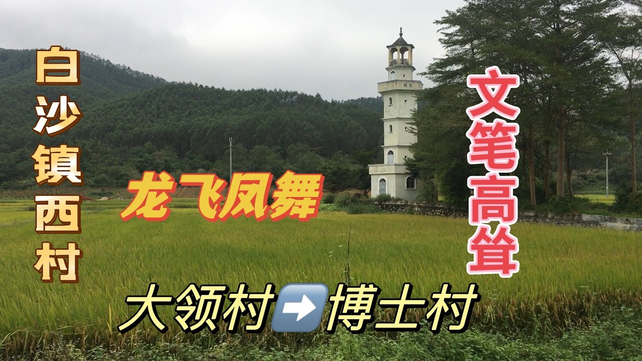 台山百曉：今日分享視頻拍攝地點是廣東省台山市白沙鎮西村大領村，聽講這條村除了好多博士，還有碩士，村內洋樓林立啊，可想而知這條村是一條財主老村！#taishan #taishanese #台山 #旅游