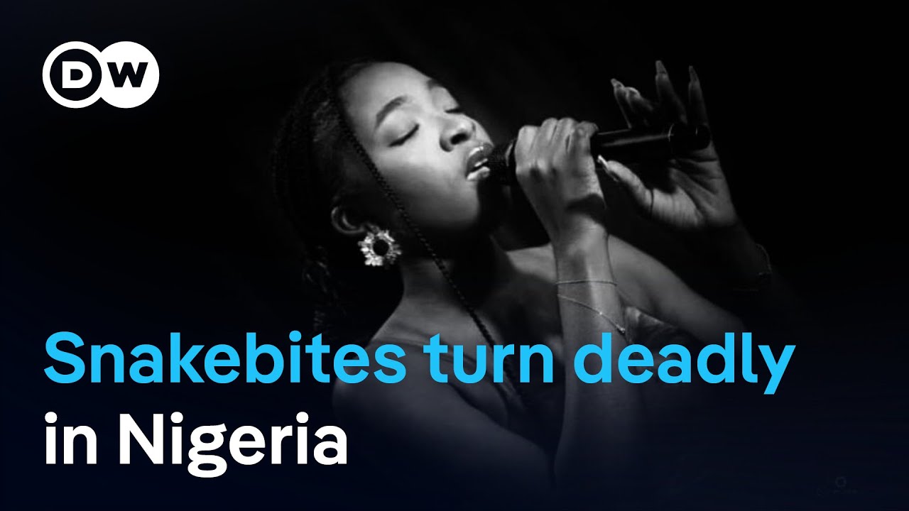 A snakebite that exposed cracks in Nigeria’s health system