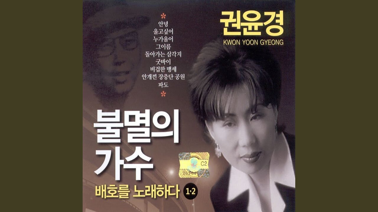 밤안개속의 사랑 love in the night mist
