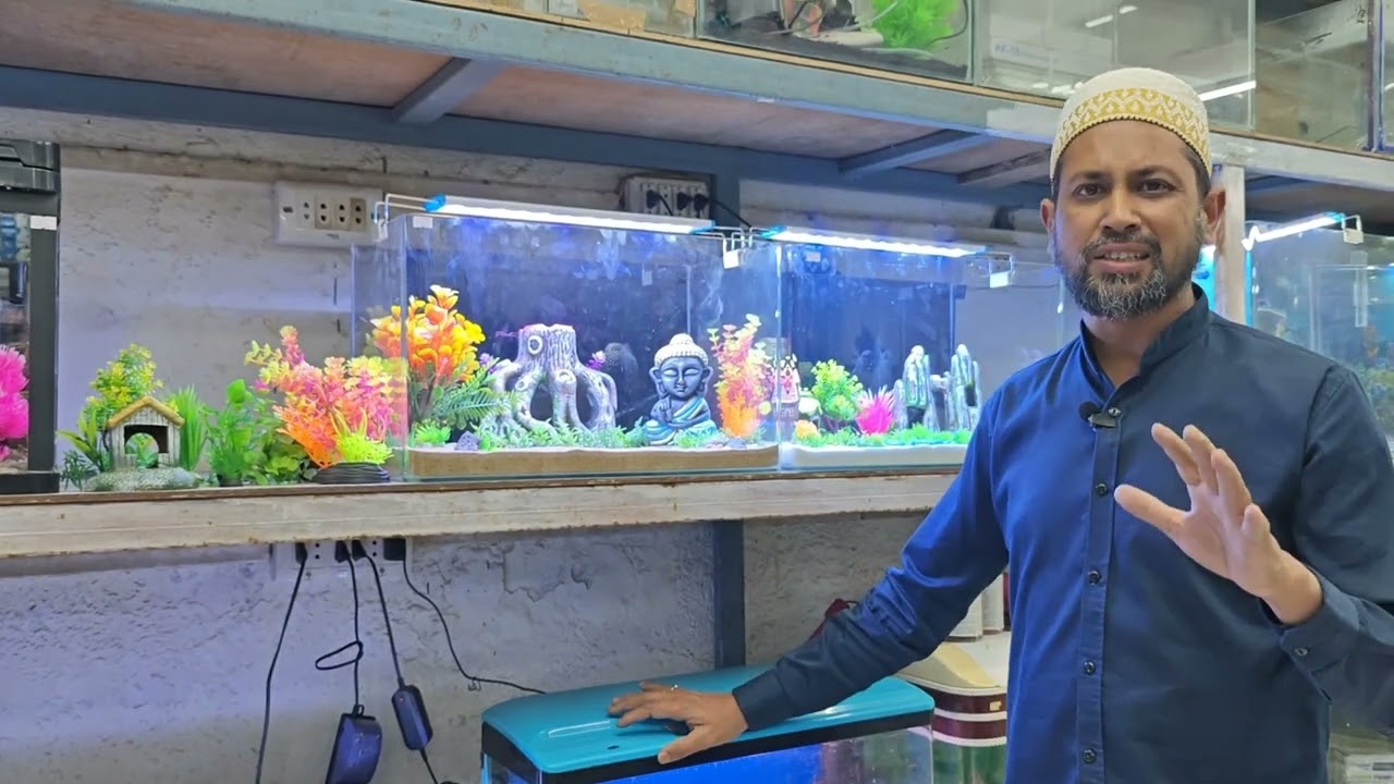 Fish aquarium set karne se pehle kin baatoon ka dhyan rakhna chahiye.