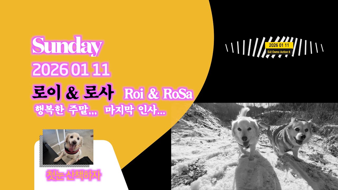 2026 1,11일요일 