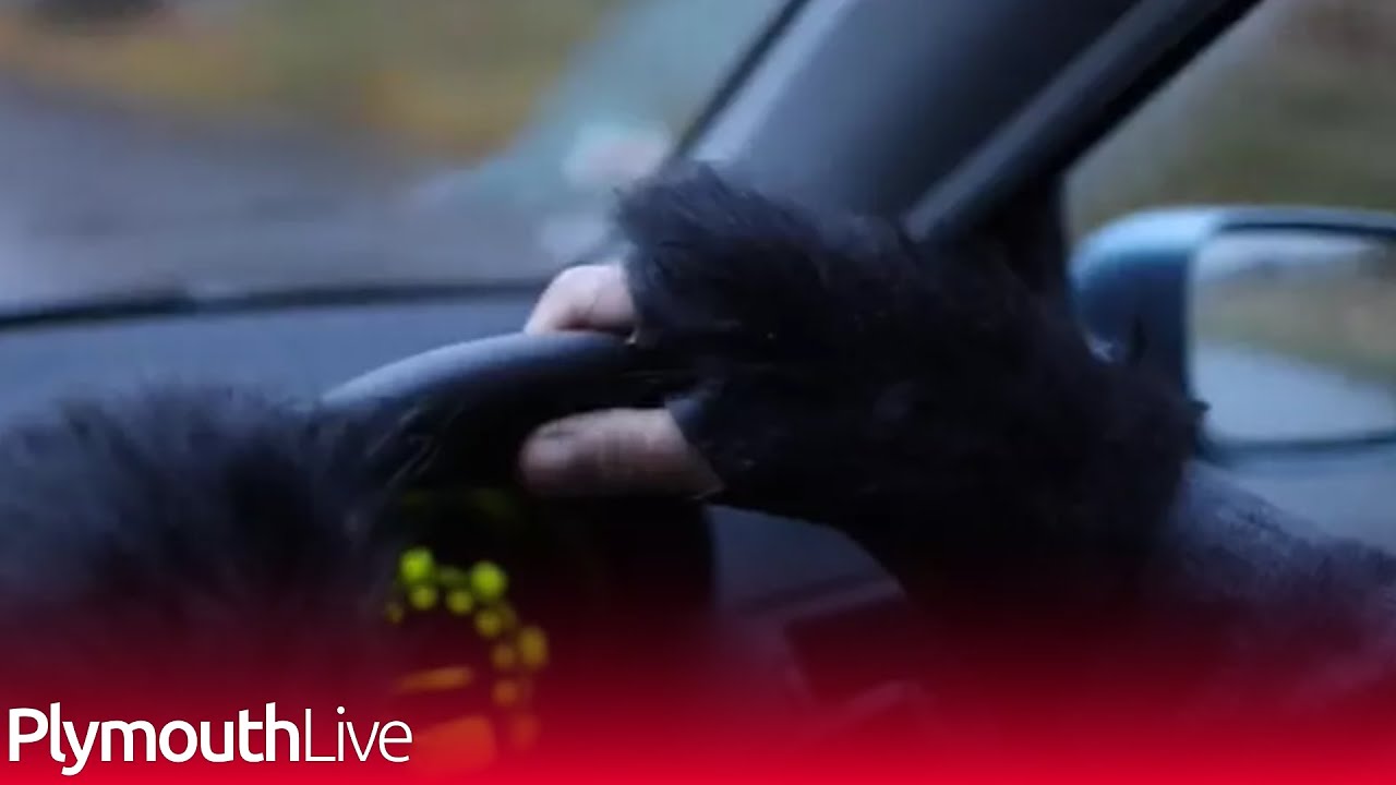 Our search for the Hairy Hands took us on gripping Dartmoor ride