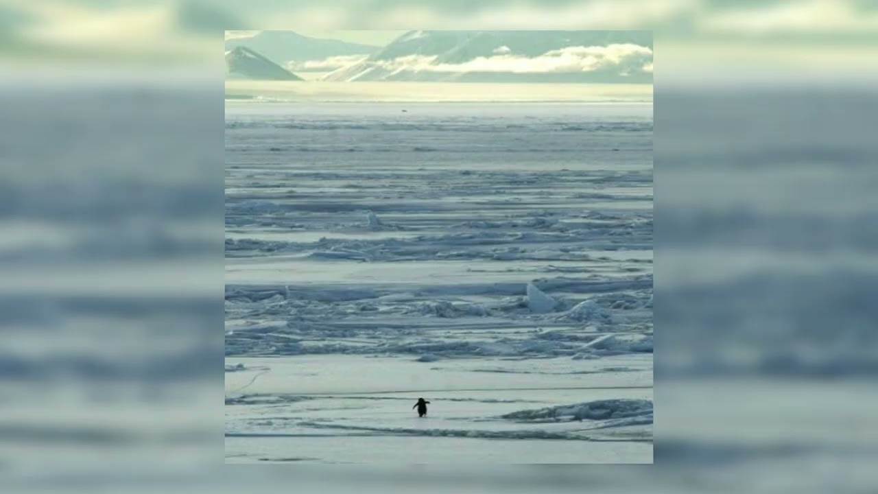 PENGUIN X I LOVE U. (SLOWED)