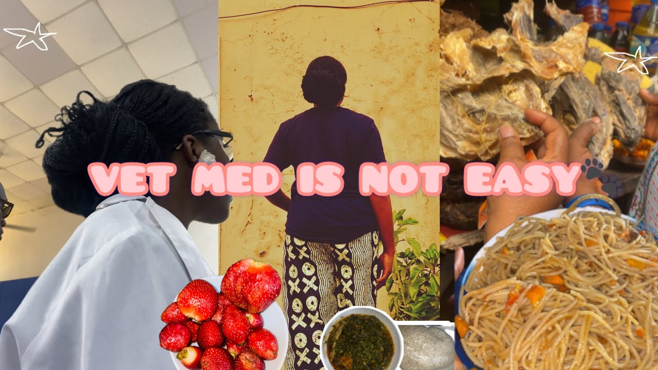 Stressful Vet Med Uni Days 😭 | Going Home before Exams + Nigerian Food Vlog 🇳🇬