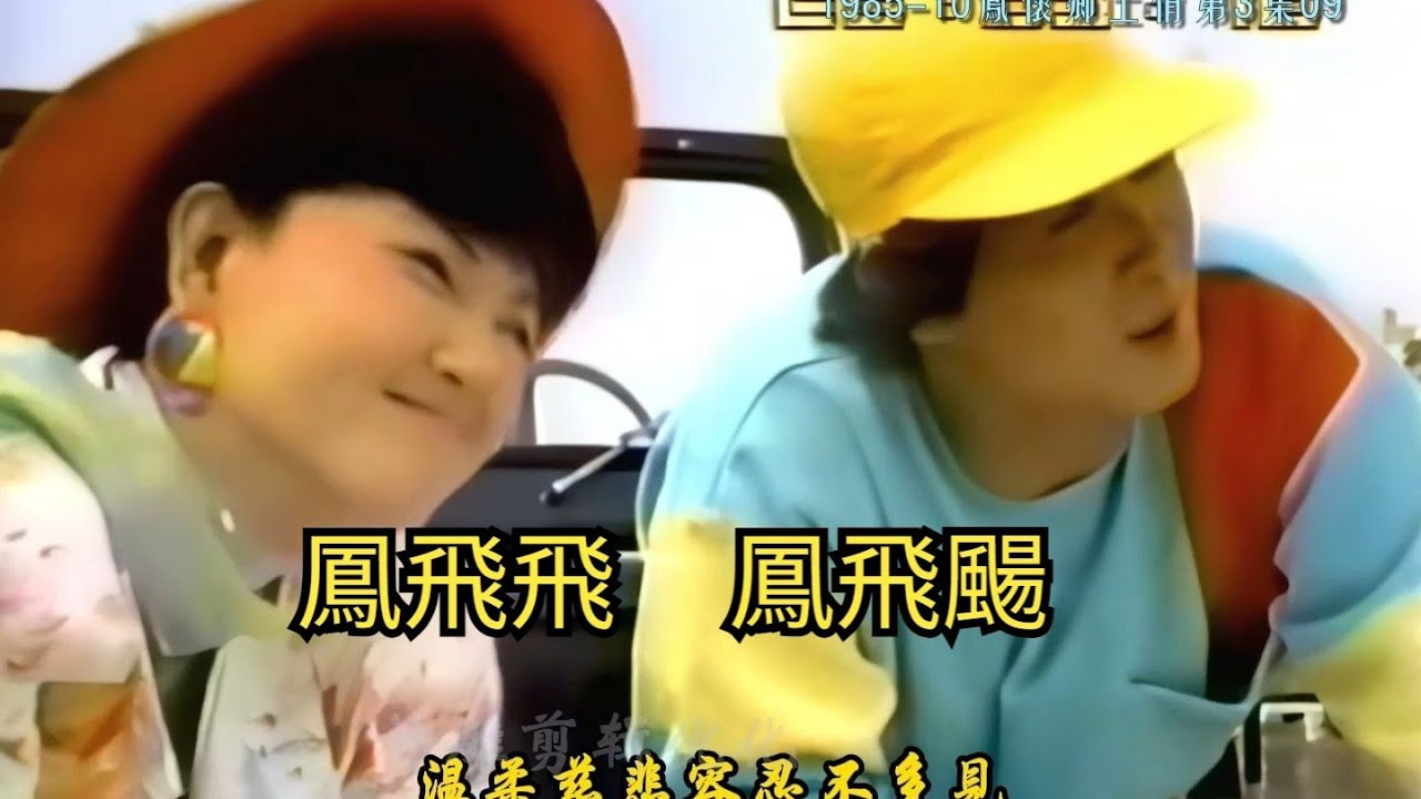鳳飛飛  鳳飛颺《你我手牽手》高音質版 1985-10鳳懷鄉土情 第三集09