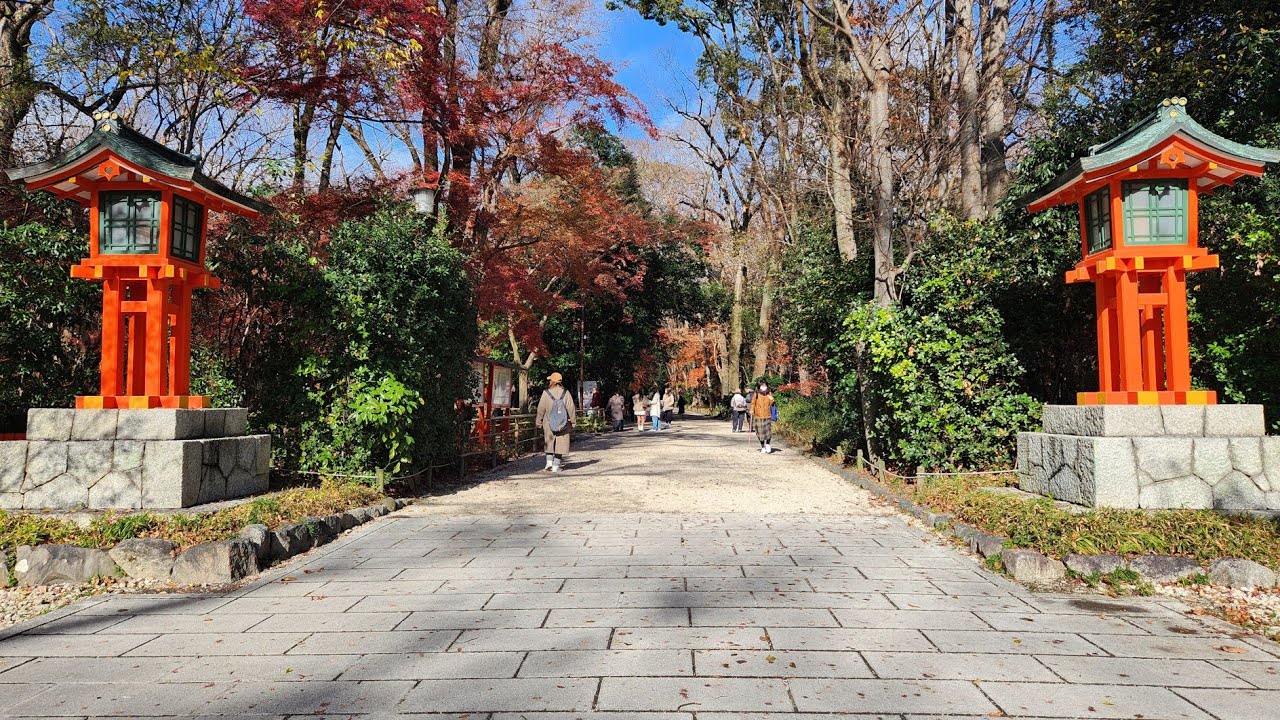 Kyoto Quiet Walk | Kamogawa River to Shimogamo Shrine through Tadasu no Mori