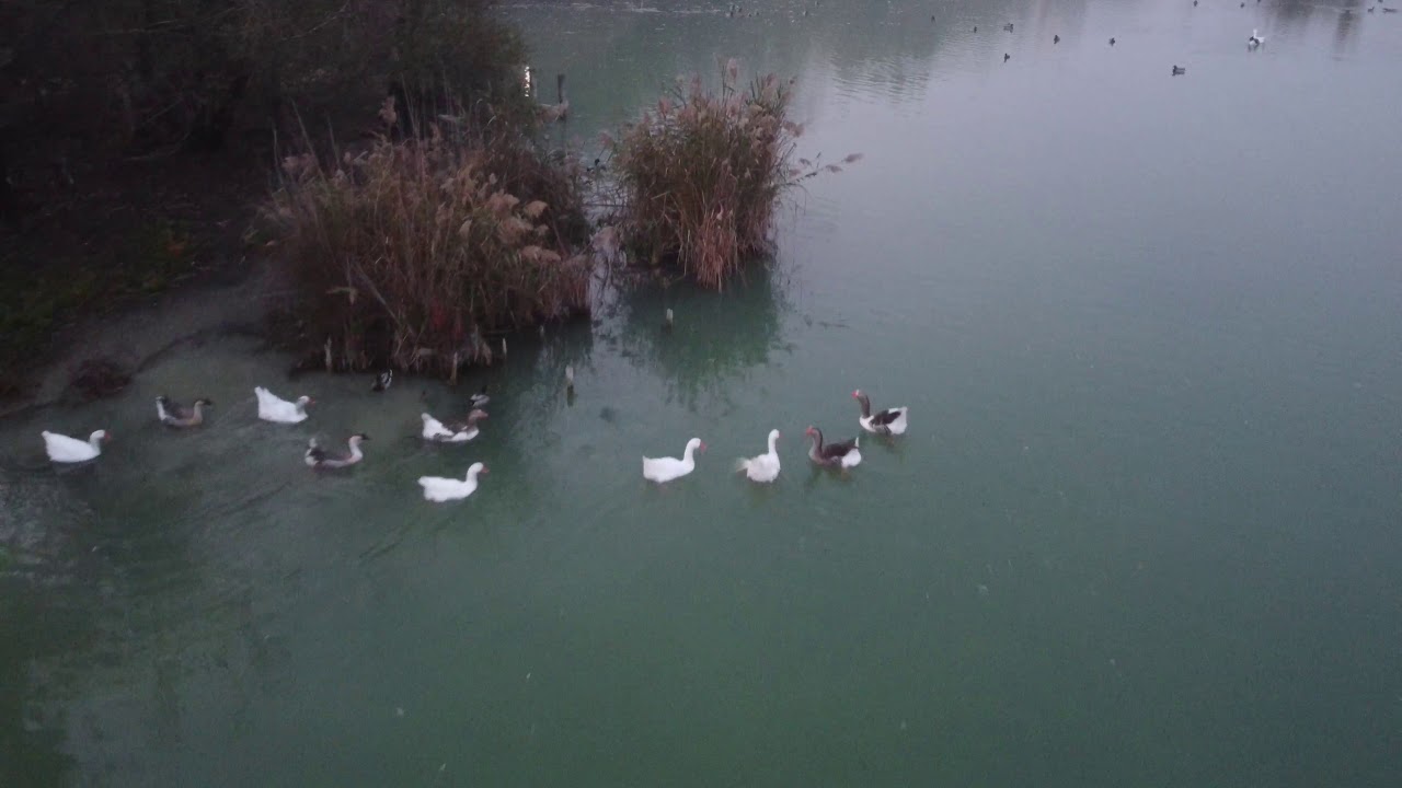 Parco della cava, Rimini