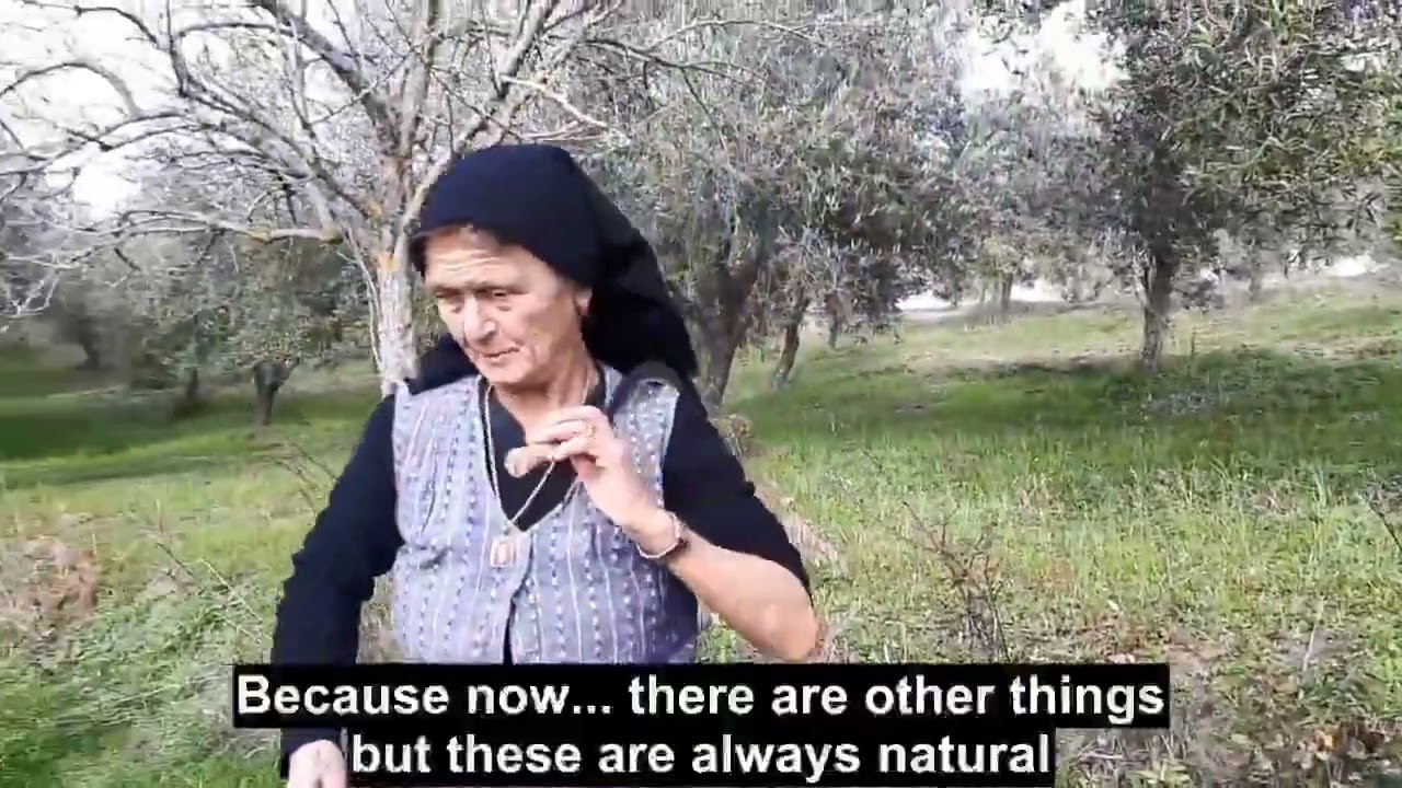 I jerbi i margiu - Le erbe selvatiche