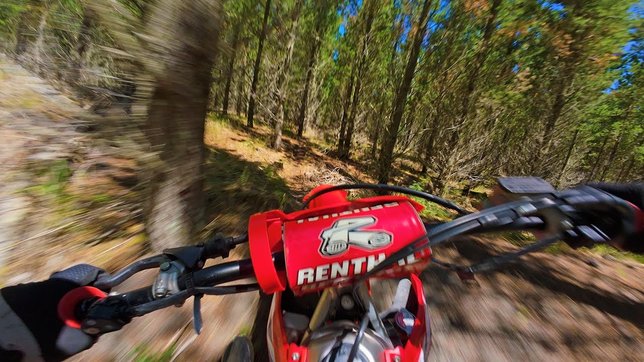 CRF250R SUMMER WOODS RIDE (RAW SOUND) 4K