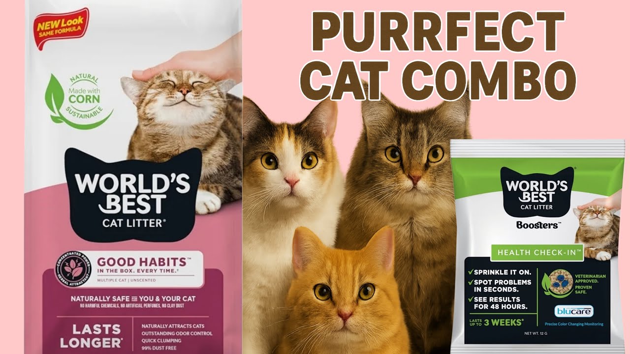 WORLD&rsquo;S BEST CAT LITTER Combo Review &ndash; Good Habits + Boosters!