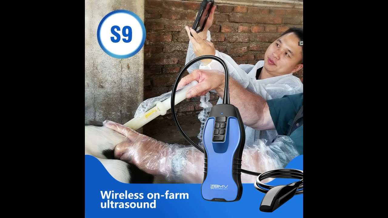 various of vet portable ultrasound machine  handheld ultrasound wireless ultrasound