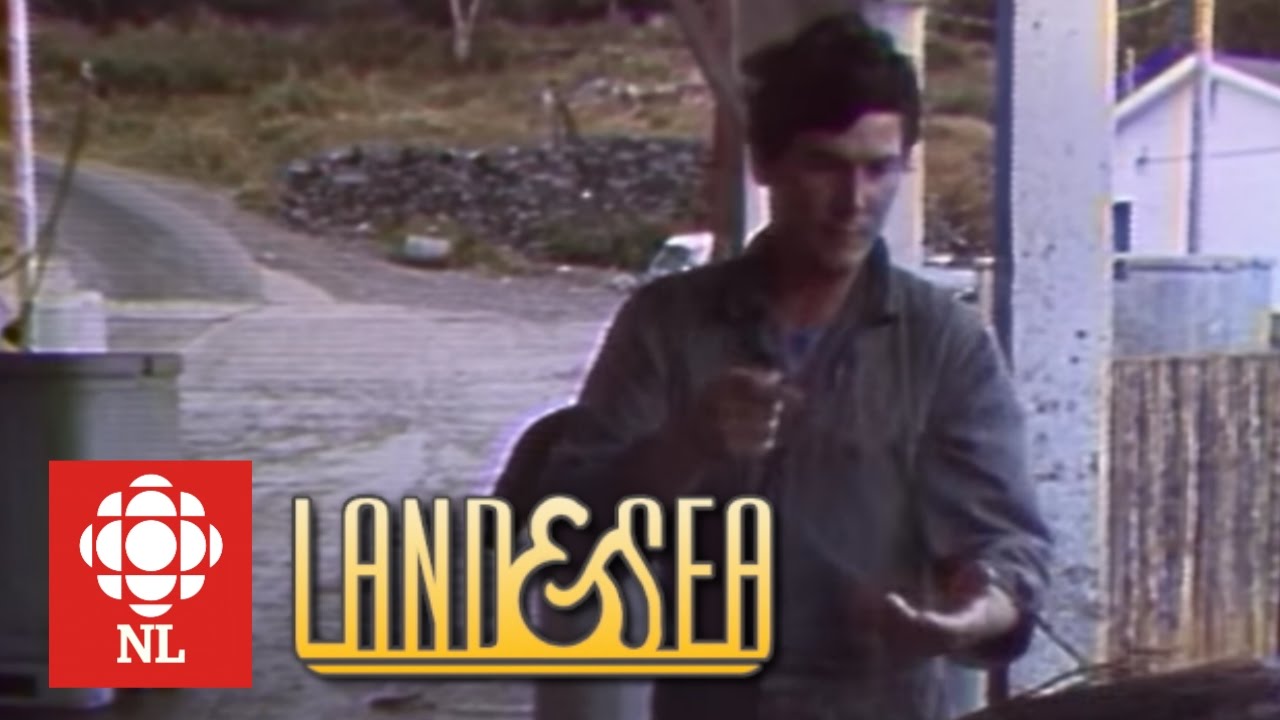 Land & Sea: The cod collapse in Newfoundland
