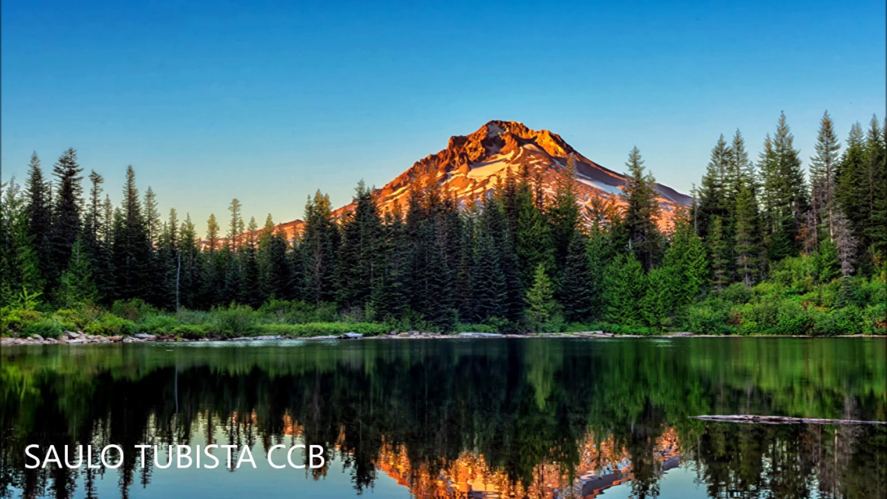 CCB Lindo Hino 452 Jesus, ó divinal Pastor !!  Tuba Conn 6/4