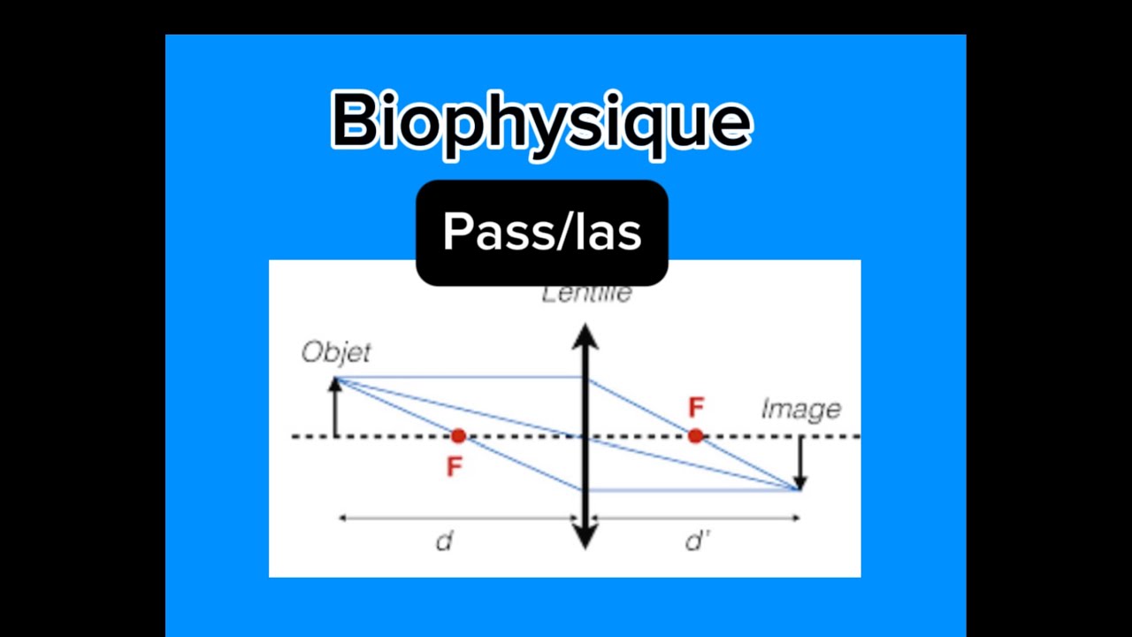 Lentille divergente, optique géométrique,  biophysique Pass / las