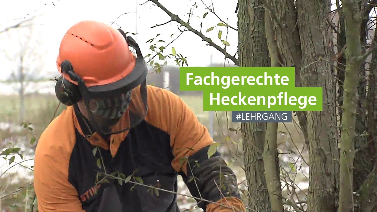 Lehrgang zur Geprüften Natur- und Landschaftspflege (m/w/d): Heckenpflege