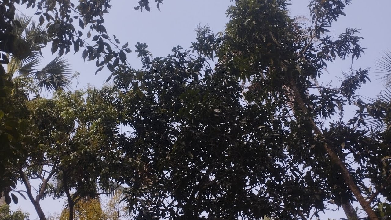 রান্নার ভুবন  is live