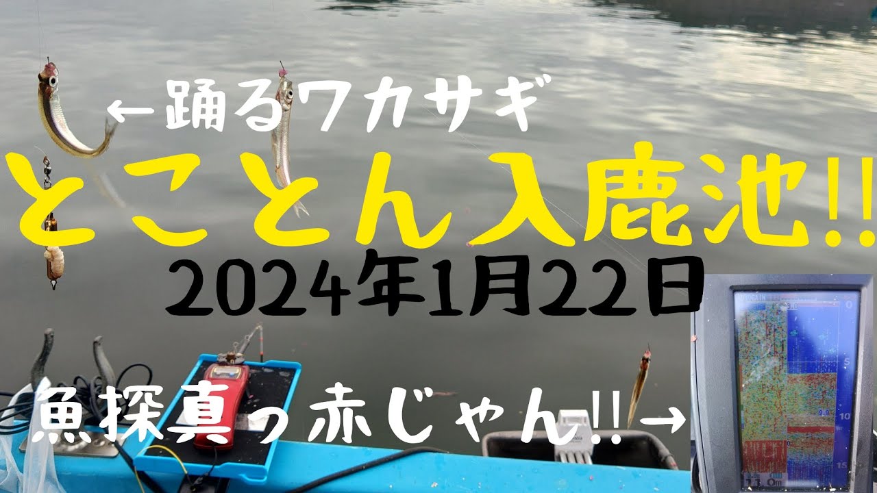 踊るワカサギ‼️とことん入鹿池‼️2024年1月22日。魚探真っ赤じゃん‼️