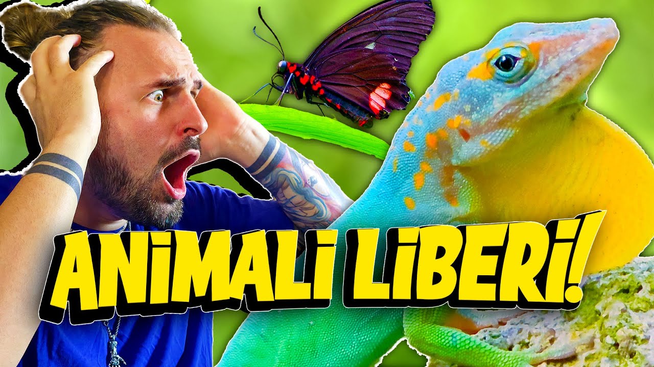 Lo ZOO pi&ugrave; BELLO del MONDO?!