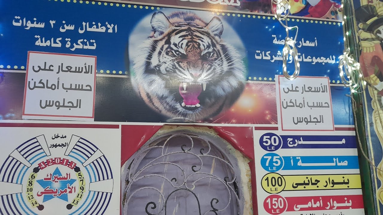 عروض السيرك الأمريكي برأس البر |فقره الأسود|الجزء الأول