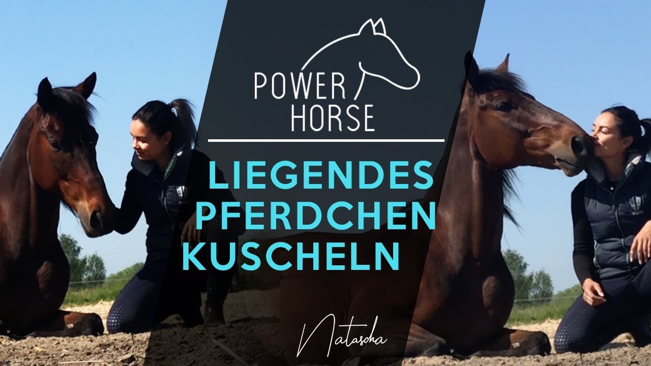 Liegendes Pferd kuscheln :) / Cuddling a lying horse