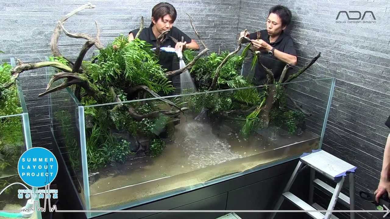 [ADAview] Making of New Layout for Sumida Aquarium in Tokyo Skytree Town Part 1